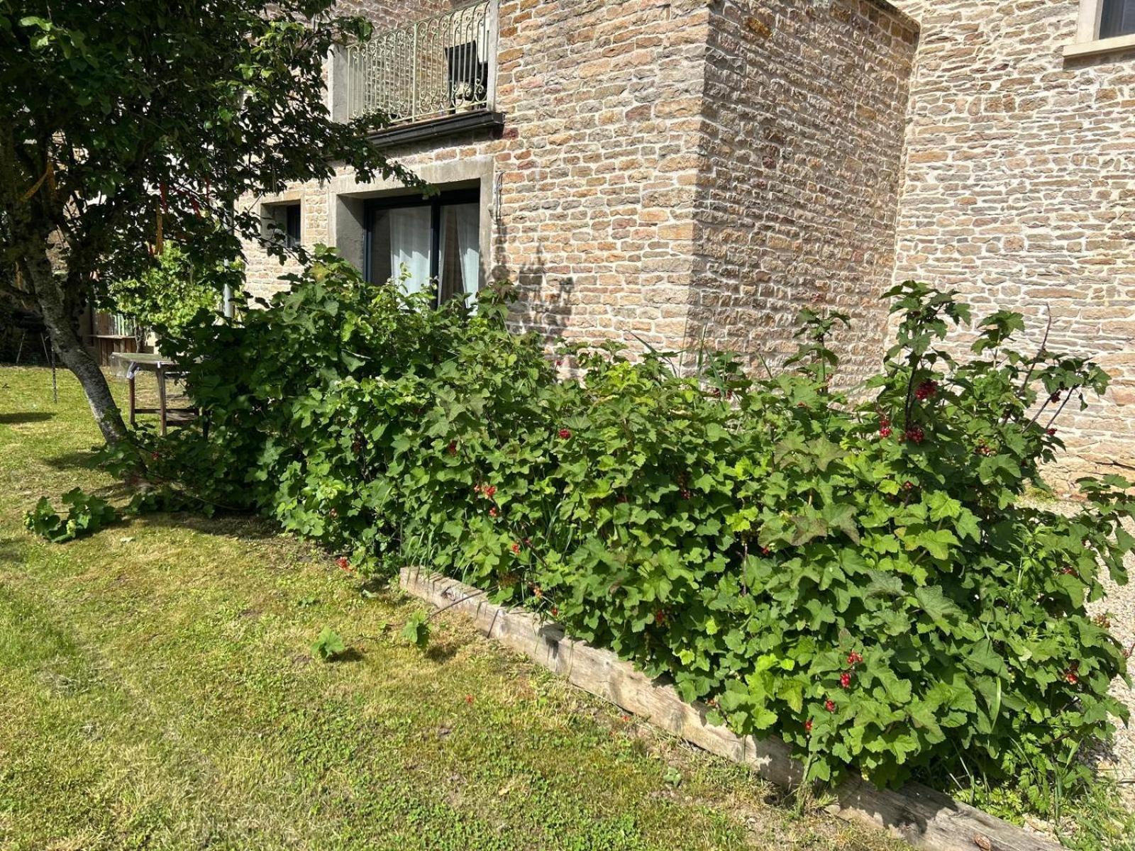 Appartement 3 Etoiles Tout Confort Et Spacieux En Campagne Bourguignonne Mancey Экстерьер фото